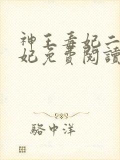 神王毒妃二嫁王妃免费阅读全文封面
