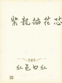 紫龙插花芯