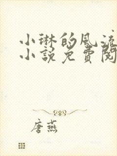 小琳的风流人生小说免费阅读