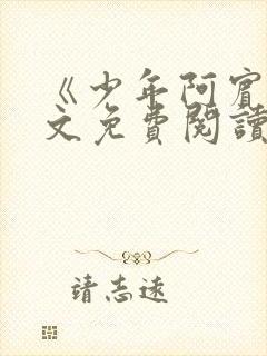 《少年阿宾》全文免费阅读
