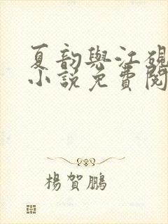 夏韵与江砚书的小说免费阅读