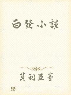 白发小说