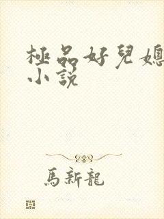 极品好儿媳秦雨小说