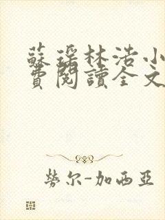 苏瑶林浩小说免费阅读全文最新章节封面