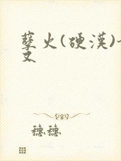 孽火(硬汉)今又封面