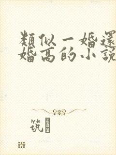 类似一婚还比一婚高的小说高干文