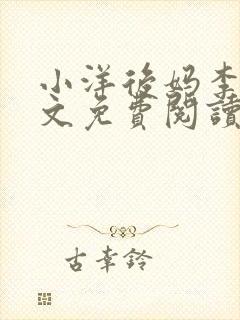 小洋后妈李韵全文免费阅读小说