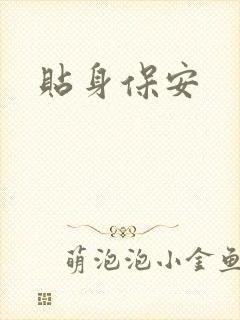 贴身保安封面