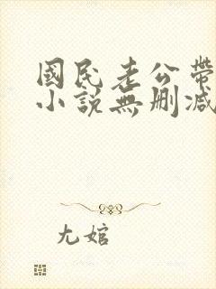 国民老公带回家小说无删减