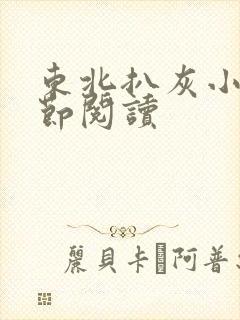 东北扒灰小说分节阅读