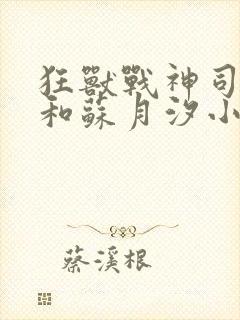 狂兽战神司空靖和苏月汐小说