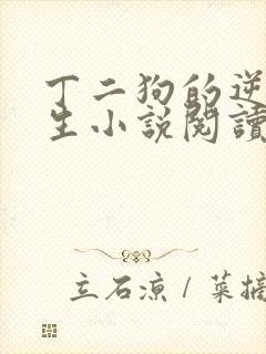 丁二狗的逆袭人生小说阅读