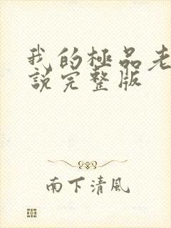 我的极品老婆小说完整版