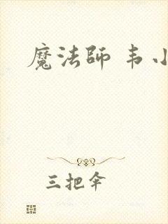 魔法师 韦小宝