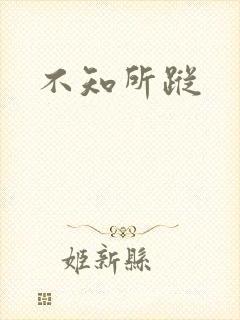不知所踪封面