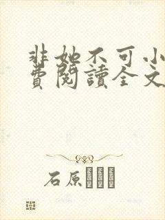 非她不可小说免费阅读全文封面