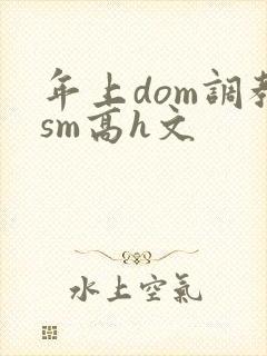 年上dom调教sm高h文封面