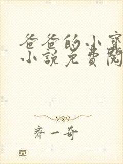 爸爸的小宝贝霍小说免费阅读封面