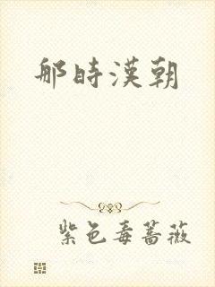 那时汉朝