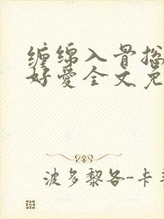 缠绵入骨总裁好好爱全文免费阅读