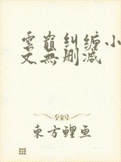 云巅纠缠小说全文无删减