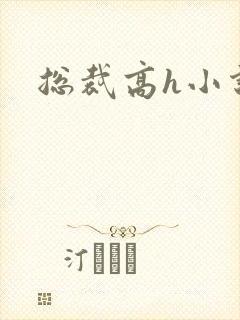 总裁高h小说