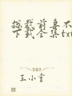 总裁前妻不好追下载全集txt下载