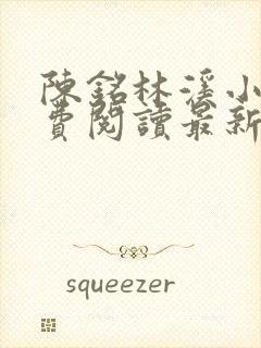陈铭林溪小说免费阅读最新章节更新封面