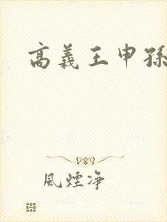 高义王申孙倩