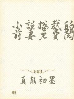 小说总裁的替身前妻免费阅读封面