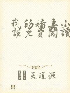 我的娇妻小慧小说免费阅读