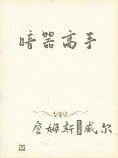 暗器高手封面