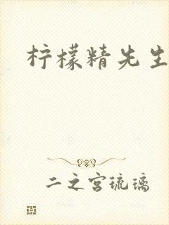柠檬精先生