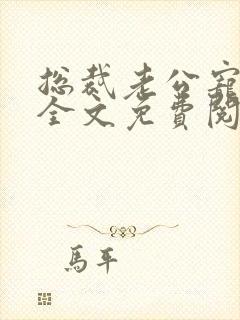 总裁老公宠不停全文免费阅读封面