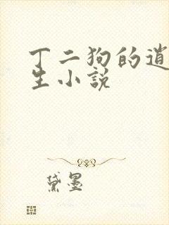 丁二狗的逍遥人生小说封面