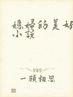 媳妇的美好时代小说