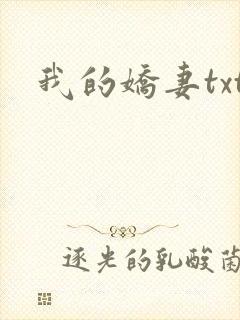 我的娇妻txt