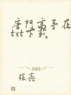 唐门高手在异世txt下载