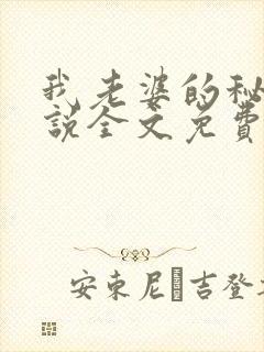 我老婆的秘密小说全文免费阅读封面