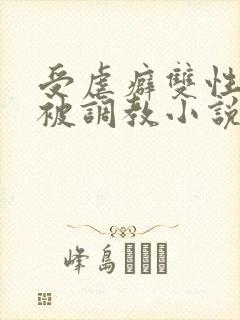 受虐癖双性美人被调教小说封面