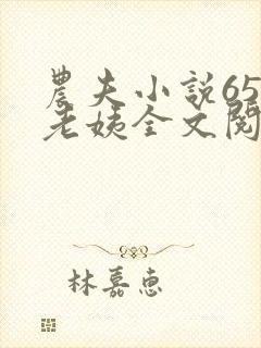 农夫小说65岁老姨全文阅读封面