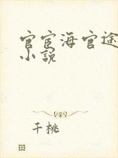 官宦海官途秦峰小说封面