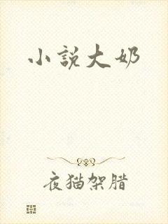 小说大奶