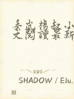 秦岚杨叔小说全文阅读最新章节封面