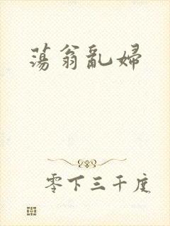荡翁乱妇