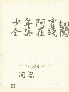 少年阿宾txt全集在线阅读