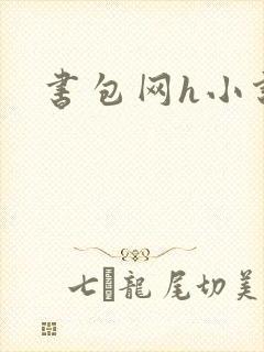 书包网h小说