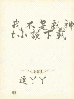 我不是戏神txt小说下载