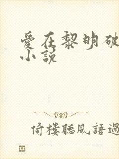 爱在黎明破晓前小说