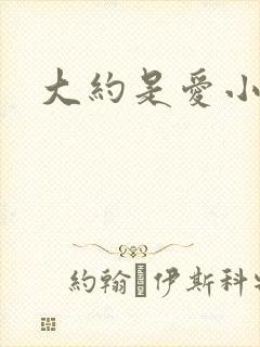 大约是爱小说